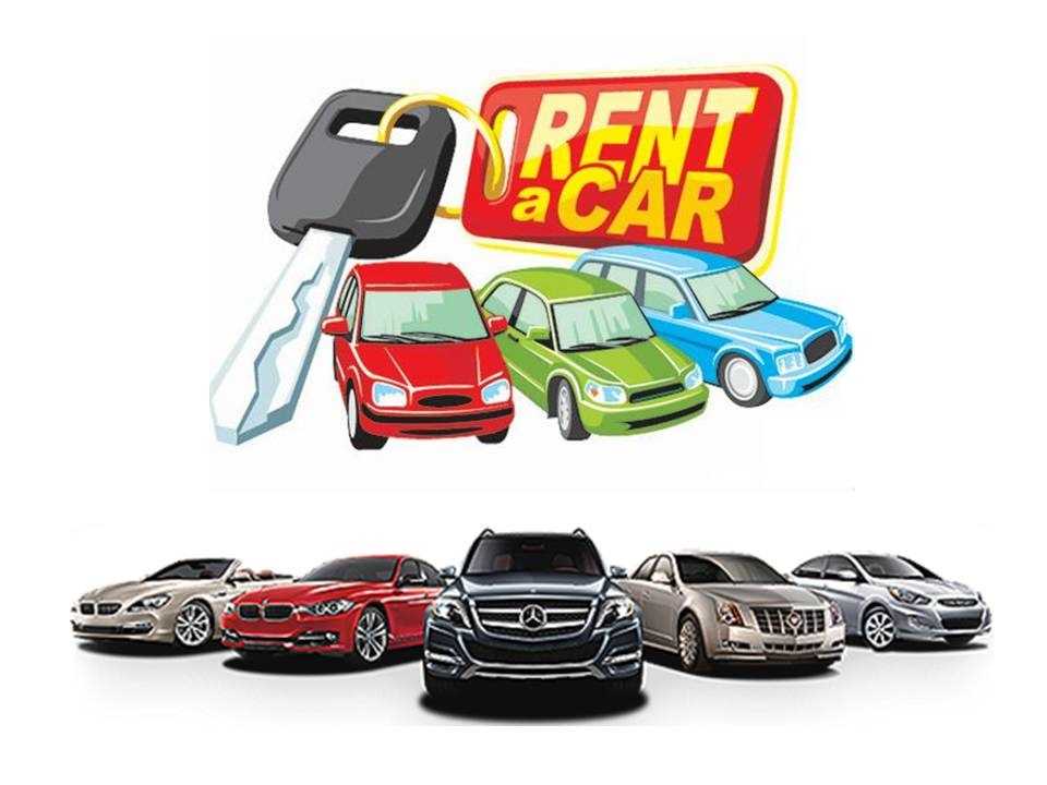 Bozkurt Rent A Car